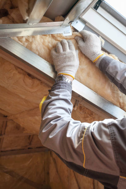 Best Insulation for Specific Applications in Trabuco Nyon, CA